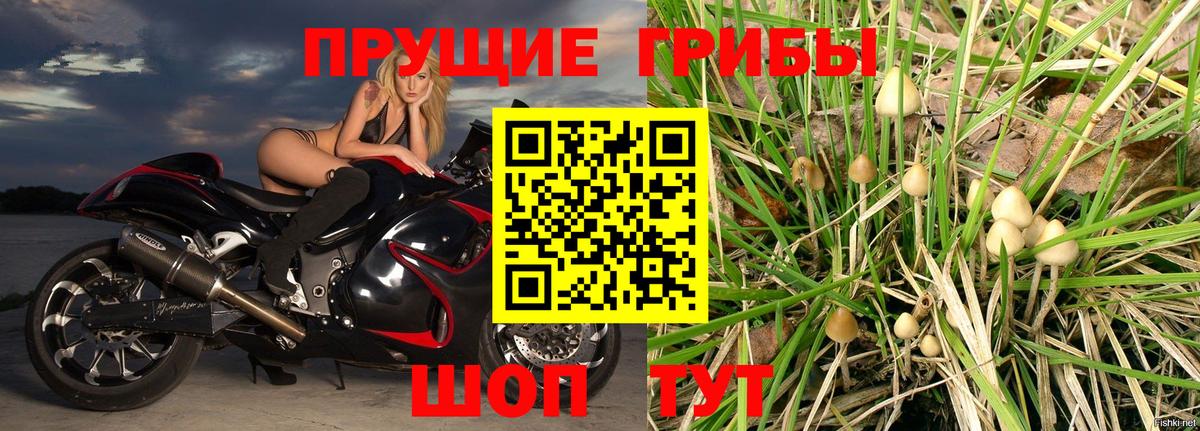 Псилоцибиновые грибы Cubensis  Вход с VPN  Сегежа 